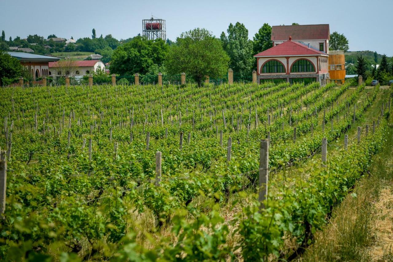 Hotel Chateau Monolit à Ikinci Yeniyol Extérieur photo